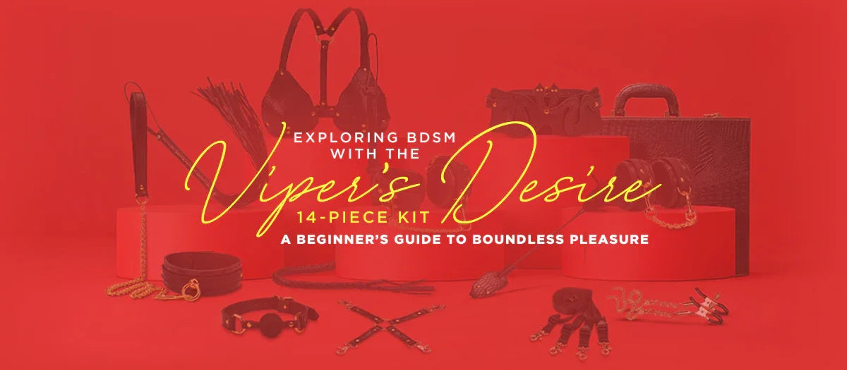 BDSM Basics: Viper's Desire 14-Piece Kit