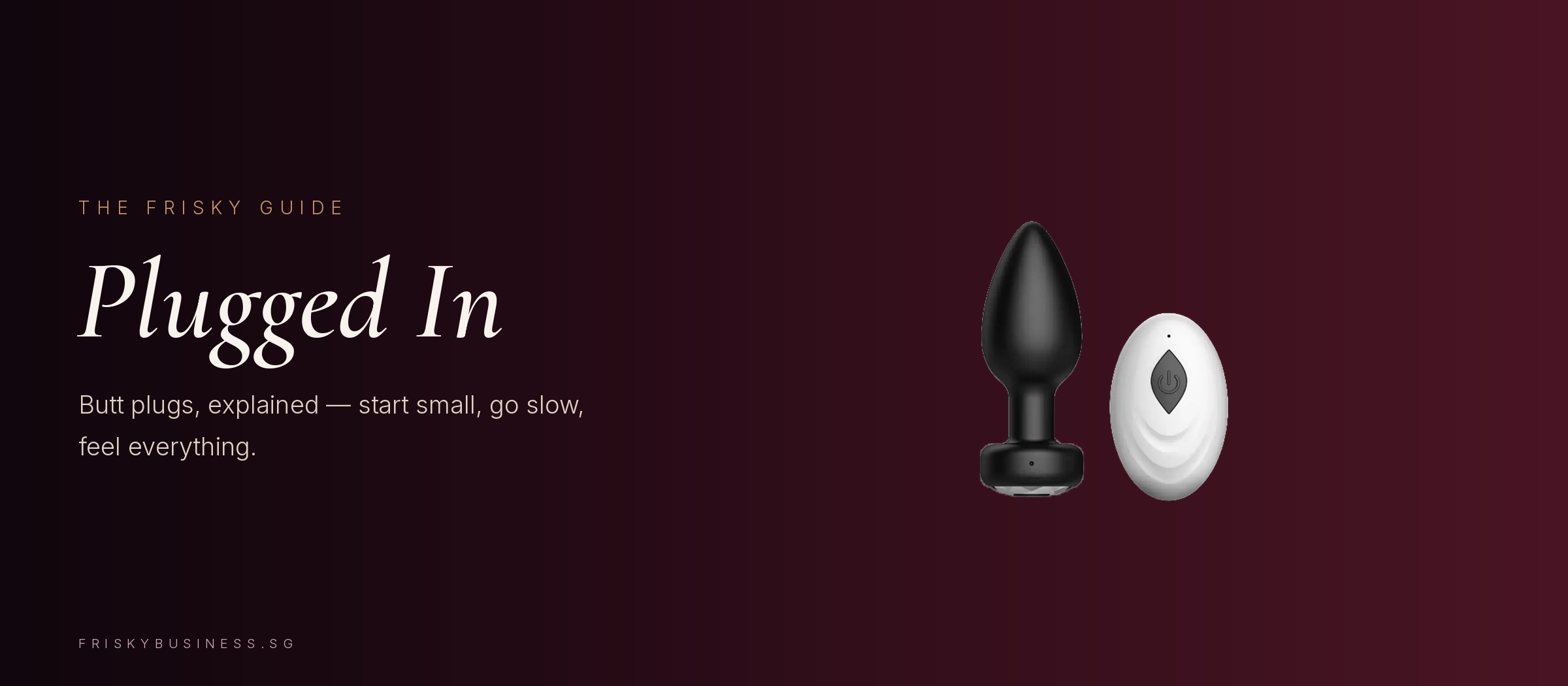 Best Butt Plugs in Singapore: A Complete Buyer's Guide (2026)