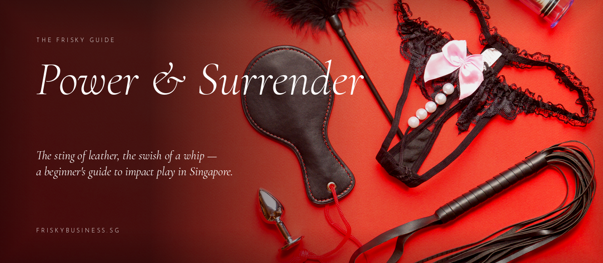 Impact Play for Beginners: Floggers, Paddles & Whips in Singapore