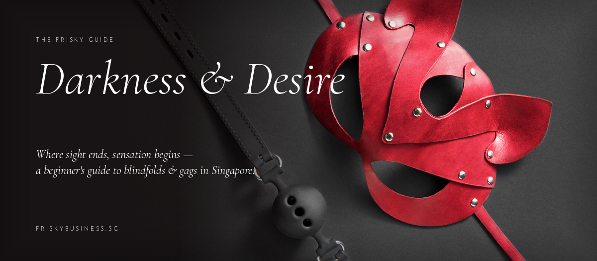 Blindfolds & Gags in Singapore: A Beginner's Guide to Sensory Deprivation