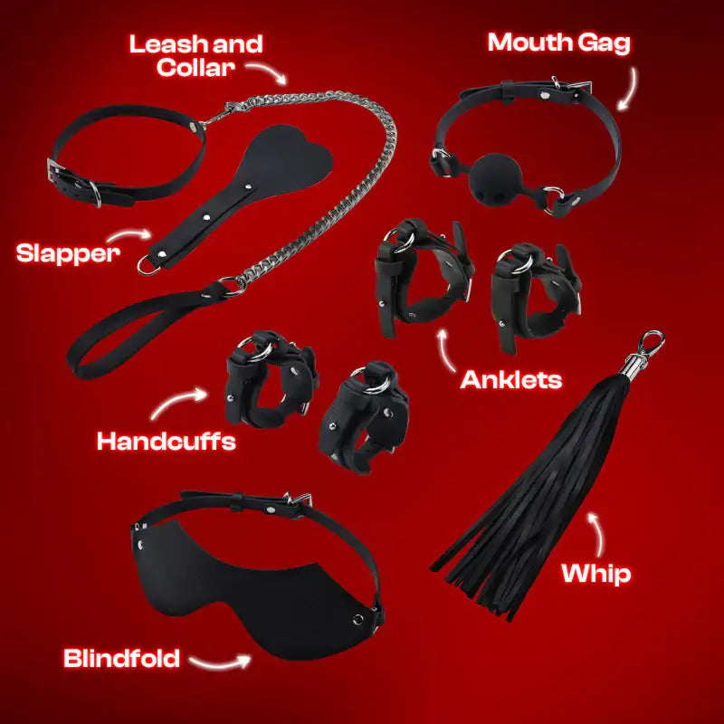 Bat Beauty - 8 pcs BDSM Starter Kit - Frisky Business Adult Sex Toys Shop