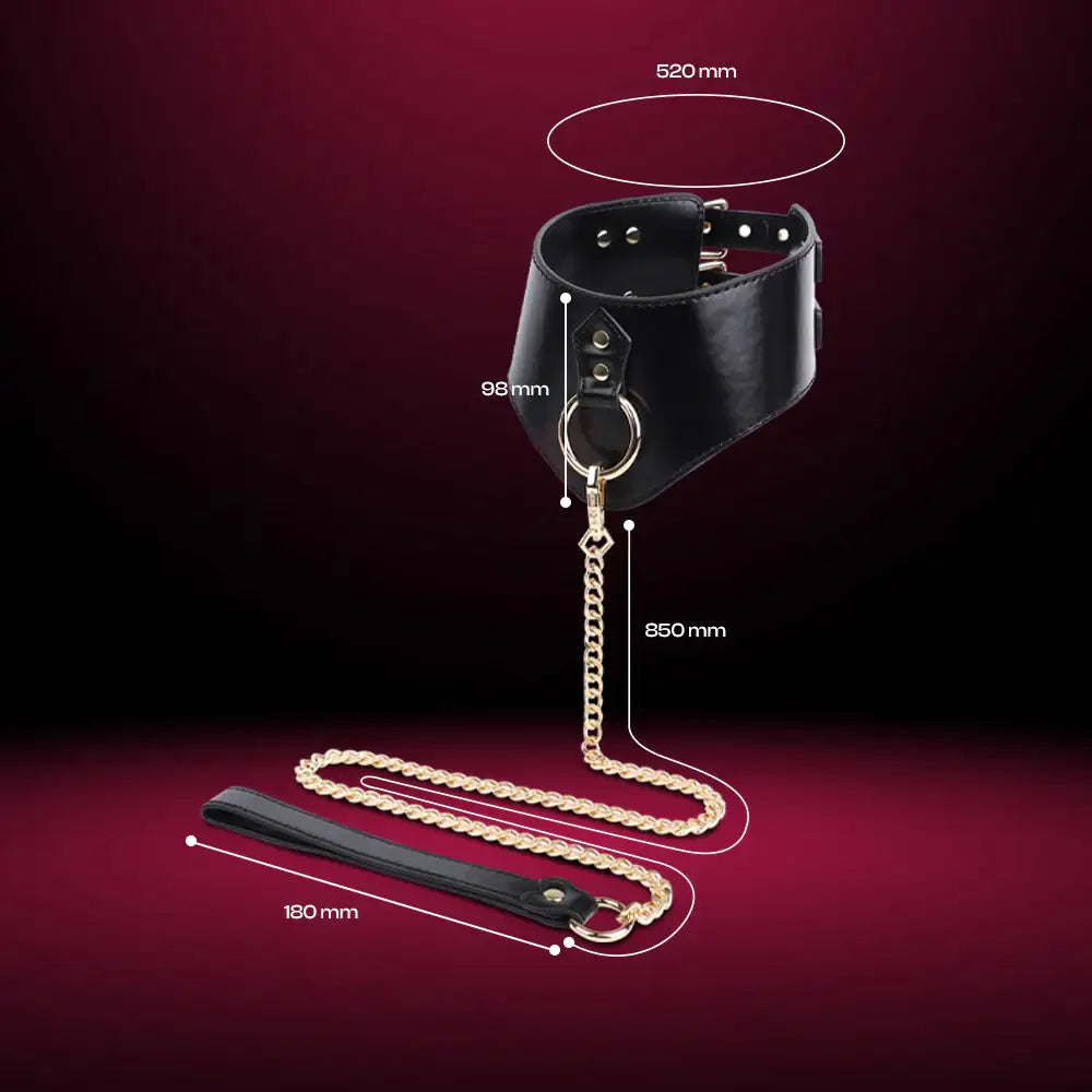Bonded Embrace – BDSM Widen Collar & Leash - Frisky Business Adult Sex Toys Shop