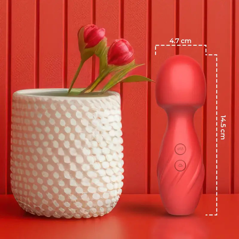 Bowl-Me-Over – Wand Vibrator with Suction - Frisky Business Adult Sex Toys Shop