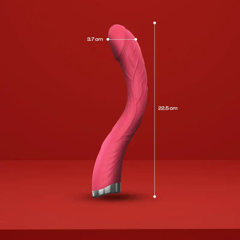 Curvy Charm - Dildo Vibrator - Frisky Business Adult Sex Toys Shop