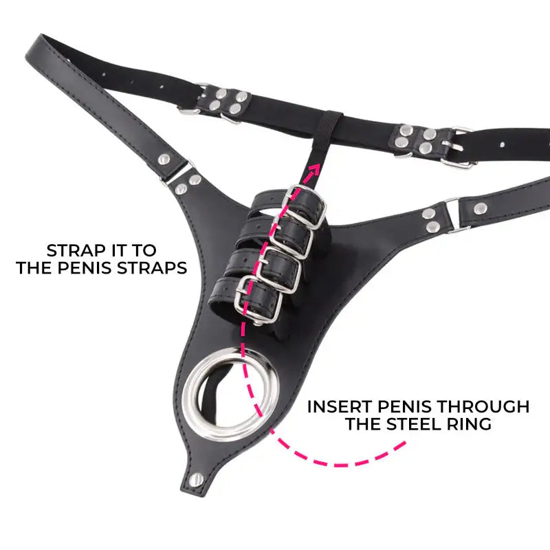 Pleasure Lock - Men Chastity Belt BSDM - Frisky Business Adult Sex Toys Shop