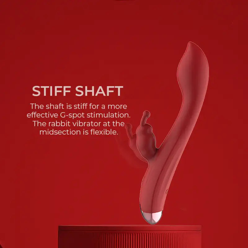 Blissful Dual Delight - G-spot Vibrator - Frisky Business Adult Sex Toys Shop