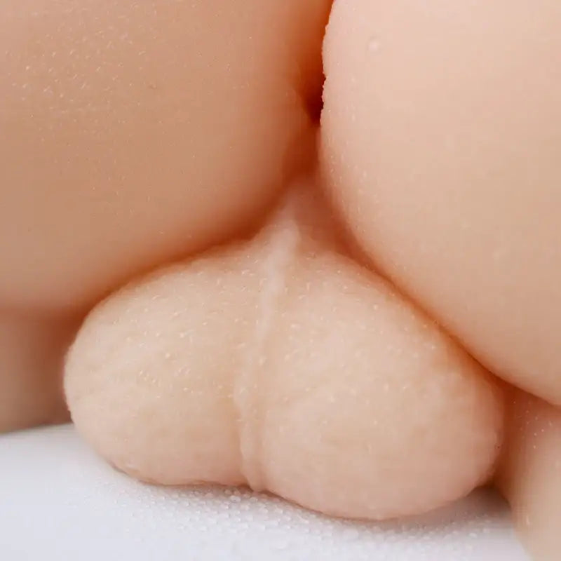 Booty Ripple Delight - Realistic Ass - Frisky Business Adult Sex Toys Shop