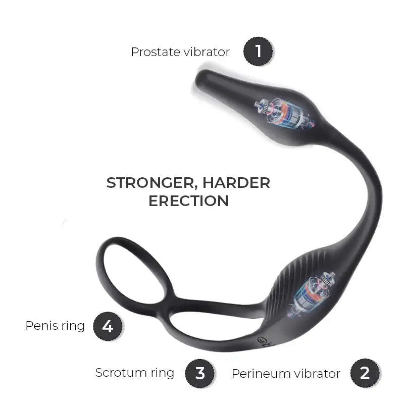 FlexiWave Pleasure Tail - Prostate Massager - Frisky Business Adult Sex Toys Shop