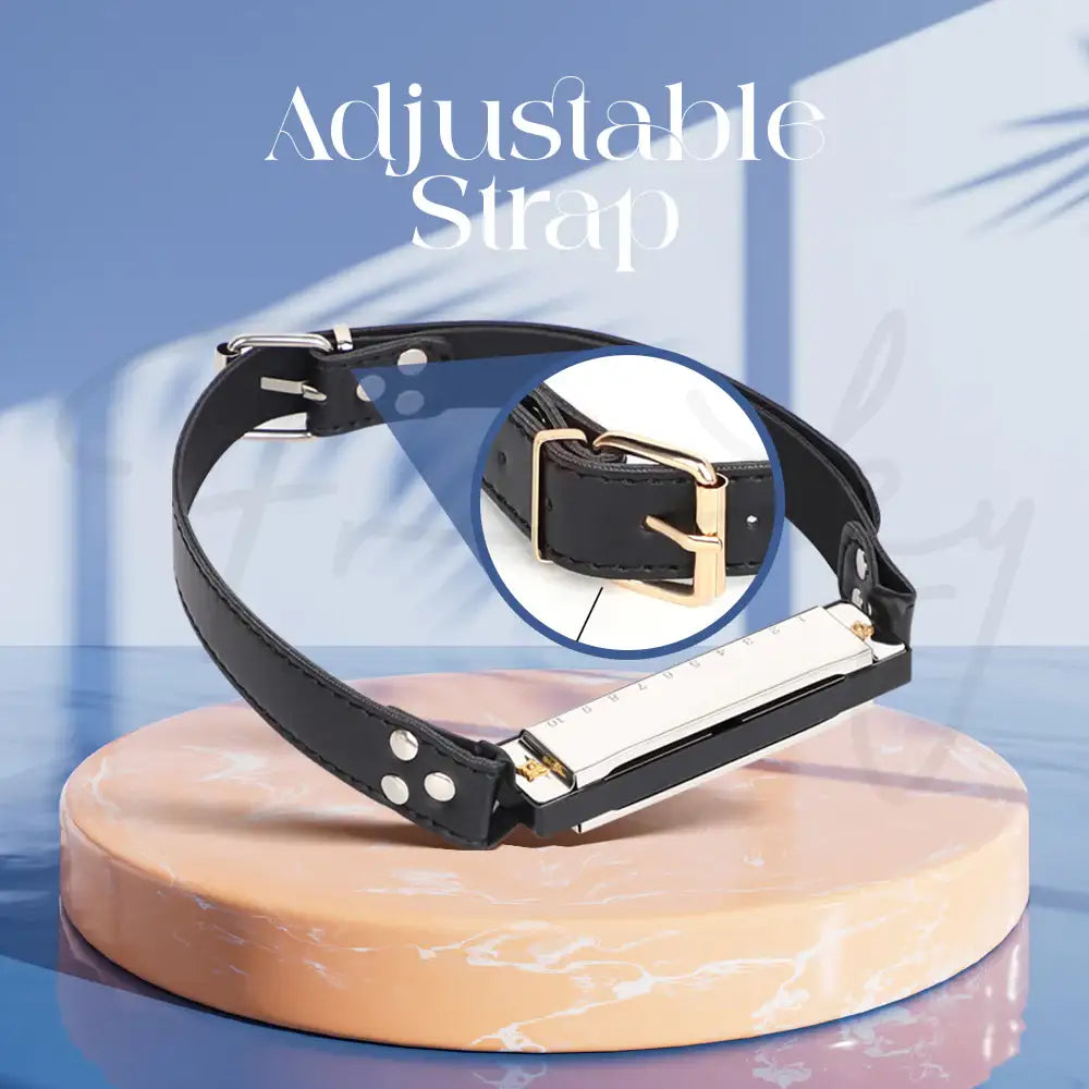 BlowBound - Harmonica Mouth Gag - Frisky Business Adult Sex Toys Shop