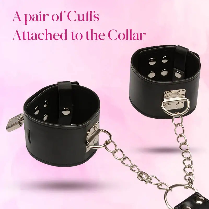PassionLock Collar & Restraints - Frisky Business Adult Sex Toys Shop
