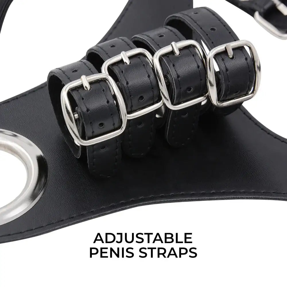 Pleasure Lock - Men Chastity Belt BSDM - Frisky Business Adult Sex Toys Shop
