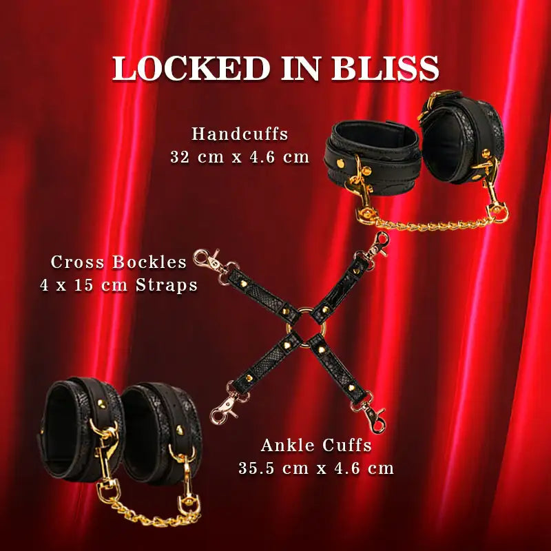 Viper's Desire 14-Piece BDSM Kit - Frisky Business Adult Sex Toys Shop