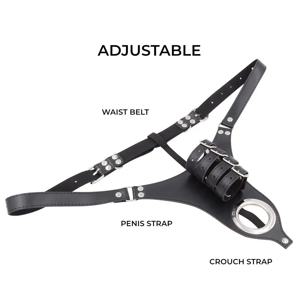 Pleasure Lock - Men Chastity Belt BSDM - Frisky Business Adult Sex Toys Shop