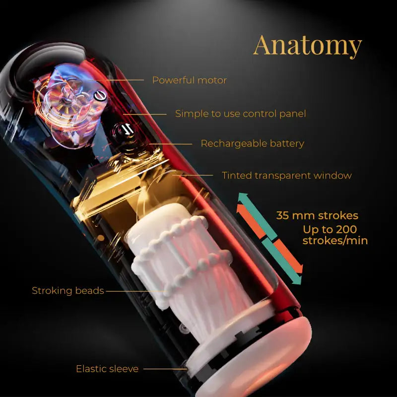 Warming Ride - Automatic Thrusting Masturbator - Frisky Business Adult Sex Toys Shop