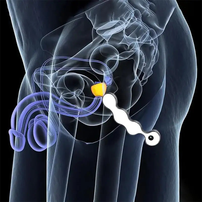 Bean Bliss - Stainless Steel Anal Plug with Handle - Frisky Business Adult Sex Toys Shop