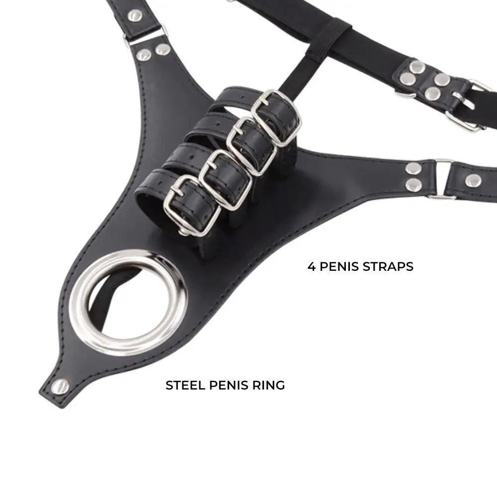 Pleasure Lock - Men Chastity Belt BSDM - Frisky Business Adult Sex Toys Shop
