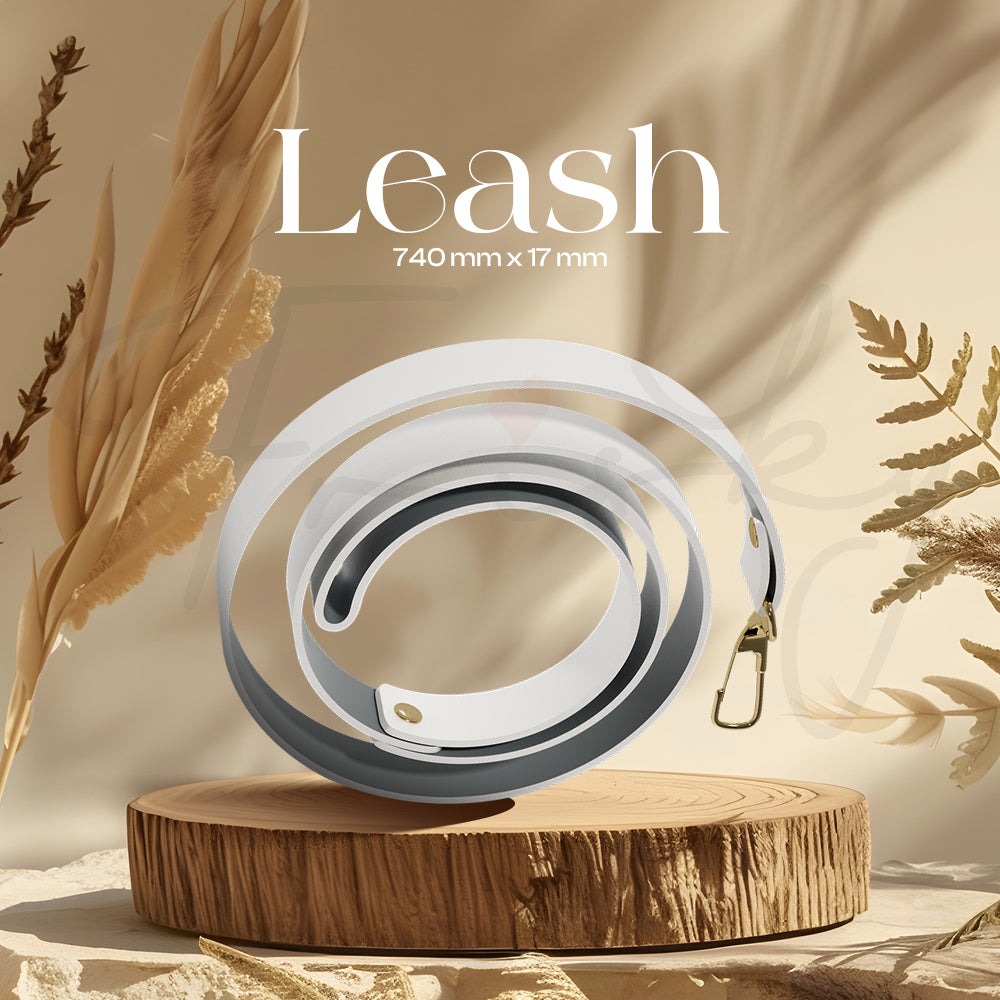 White and gold leash coiled neatly on a wooden base in warm natural lighting.