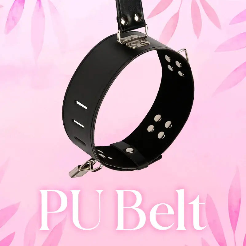 PassionLock Collar & Restraints - Frisky Business Adult Sex Toys Shop