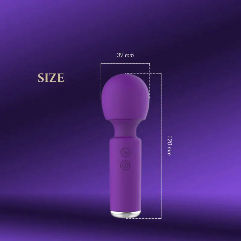 Desiree - Mini Vibrator - Frisky Business Adult Sex Toys Shop