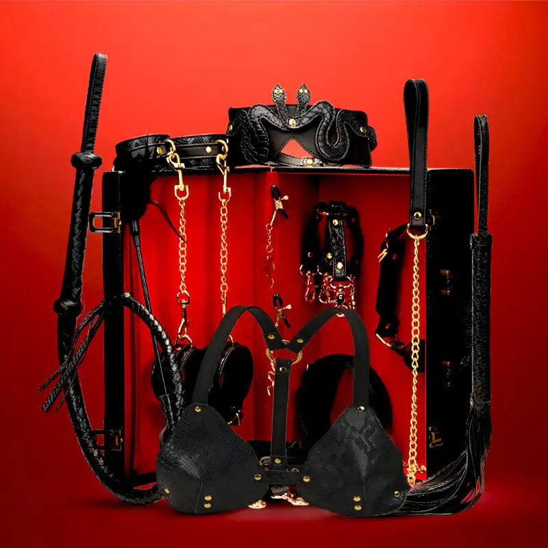 Viper's Desire 14-Piece BDSM Kit - Frisky Business Adult Sex Toys Shop