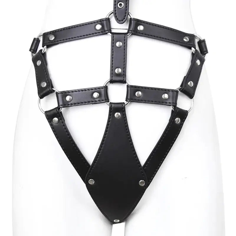 Tease Me Ties - SM Bondage Harness - Frisky Business Adult Sex Toys Shop