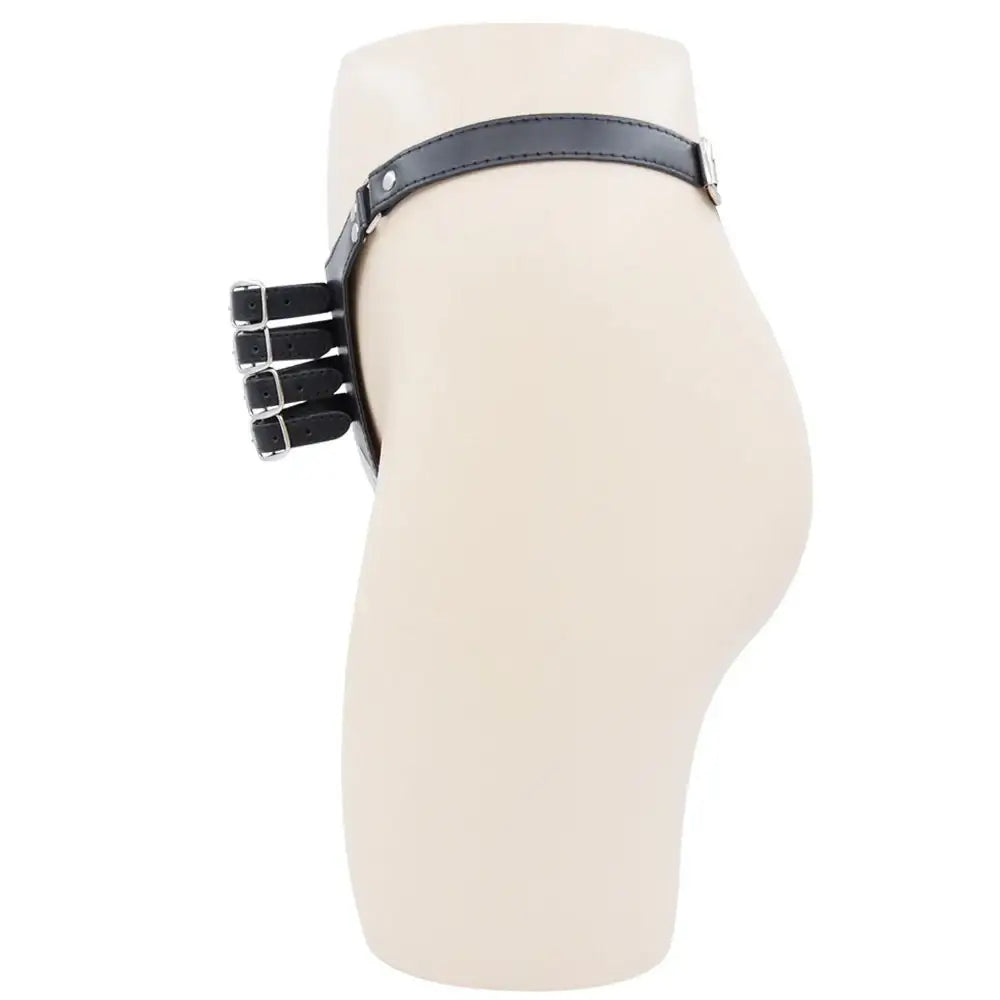 Pleasure Lock - Men Chastity Belt BSDM - Frisky Business Adult Sex Toys Shop