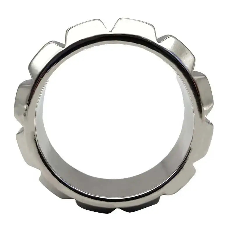 Fowl Fantasy - Stainless Steel Weighed Cock Ring - Frisky Business Adult Sex Toys Shop