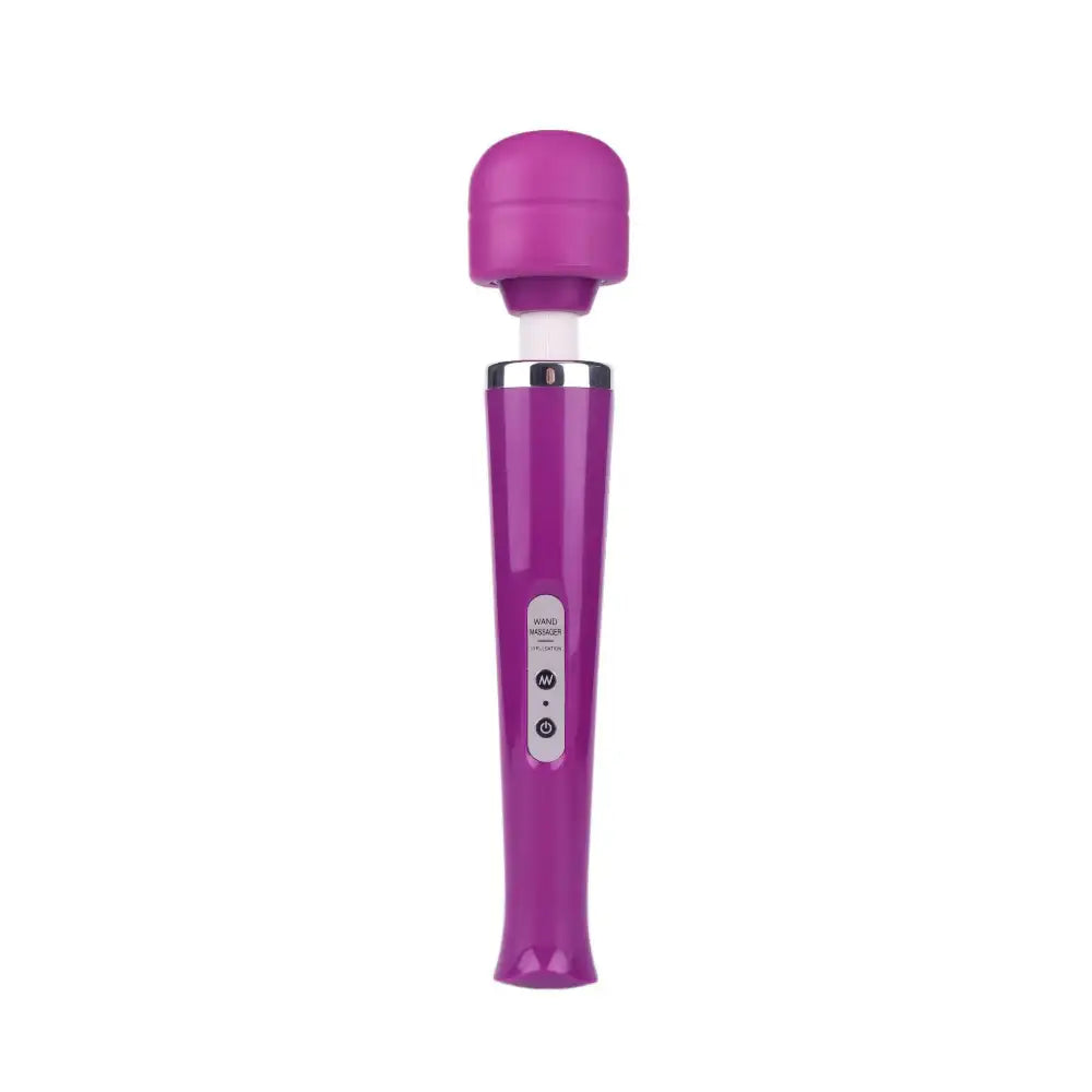 Bundle and Save - Dildo, Large Wand Vibrator, Lubricant - Frisky Business Adult Sex Toys Shop