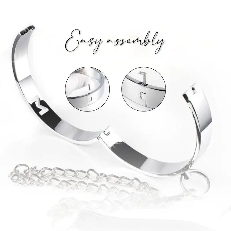 BDSM - Alloy Collar & Leash - Frisky Business Adult Sex Toys Shop