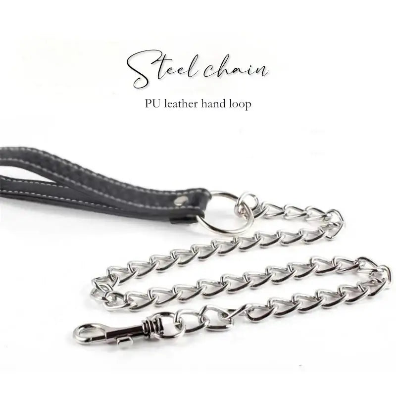 BDSM - Alloy Collar & Leash - Frisky Business Adult Sex Toys Shop