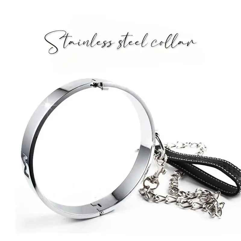 BDSM - Alloy Collar & Leash - Frisky Business Adult Sex Toys Shop