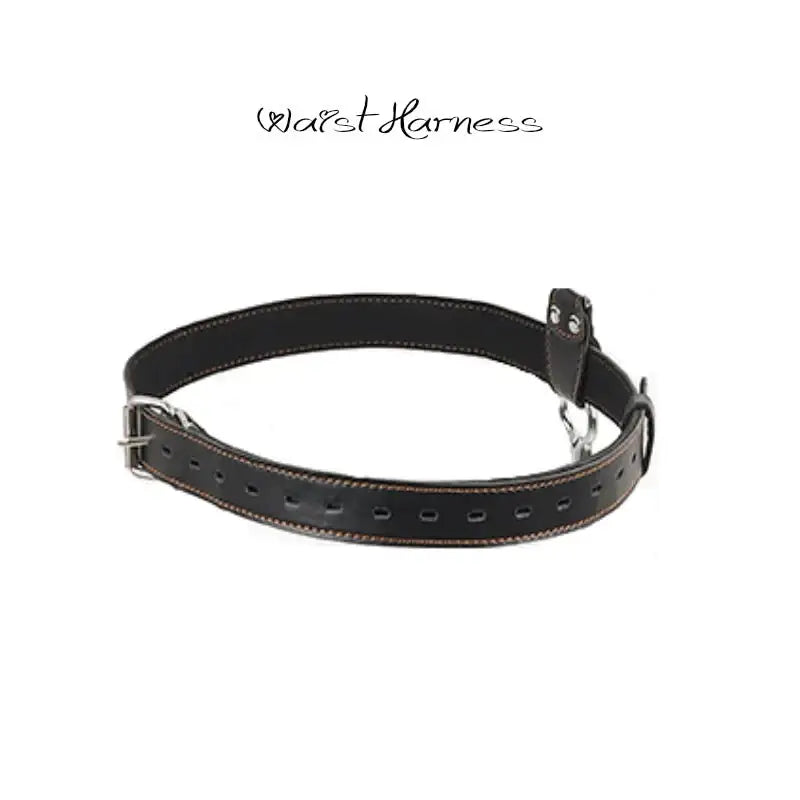 BDSM - Bondage, Anal Hook, Gag, Cuffs and Waist belt - Frisky Business Adult Sex Toys Shop