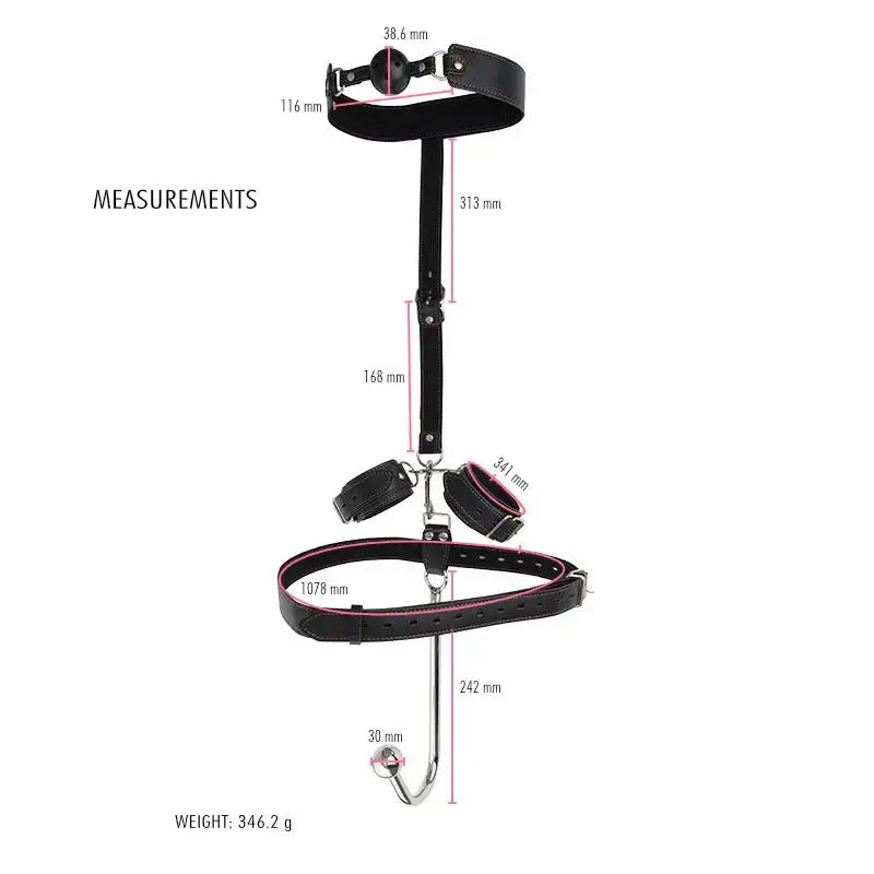 BDSM - Bondage, Anal Hook, Gag, Cuffs and Waist belt - Frisky Business Adult Sex Toys Shop