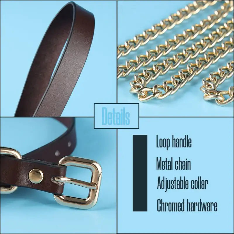 BDSM - Collar & Leash - Frisky Business Adult Sex Toys Shop