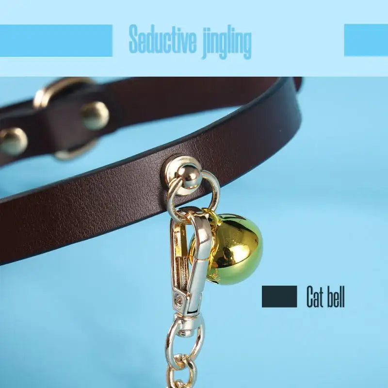 BDSM - Collar & Leash - Frisky Business Adult Sex Toys Shop
