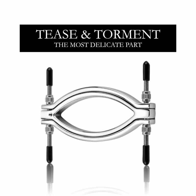 BDSM - Steel Vagina Lips Clamp - Frisky Business Adult Sex Toys Shop