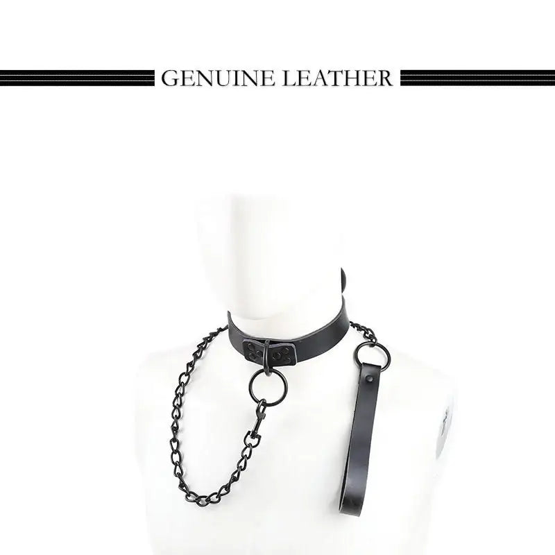 Bound and Bold - BDSM Collar & Leash - Frisky Business Adult Sex Toys Shop