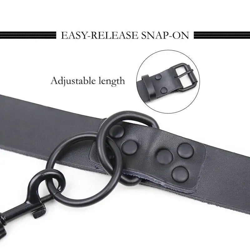 Bound and Bold - BDSM Collar & Leash - Frisky Business Adult Sex Toys Shop