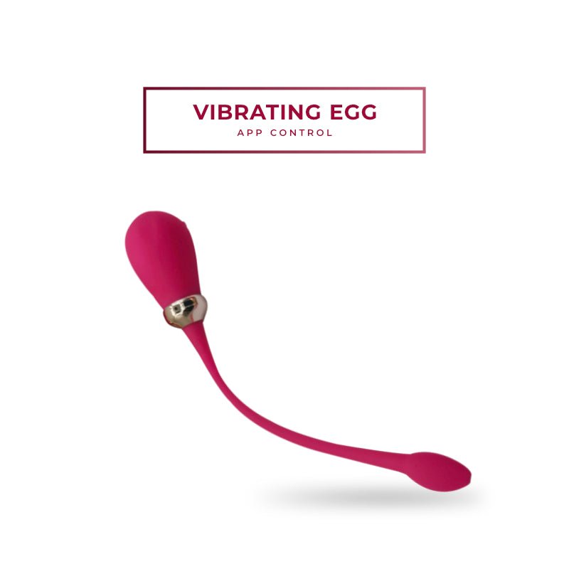 Egg Venture - Strong Egg Vibrator - FRISKY BUSINESS SG