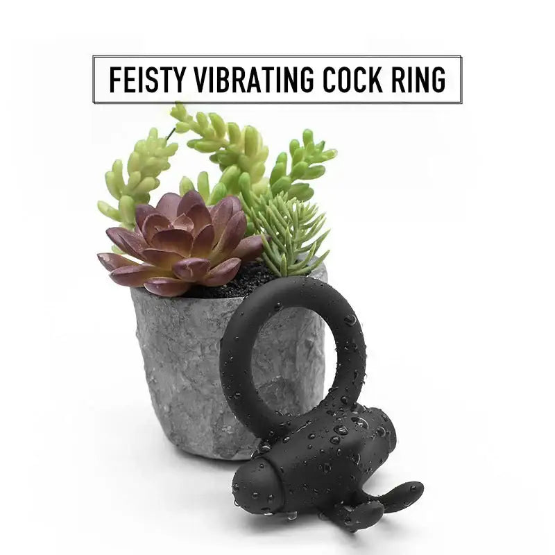 Feisty Rabbit - Vibrating Cock Ring - Frisky Business Adult Sex Toys Shop