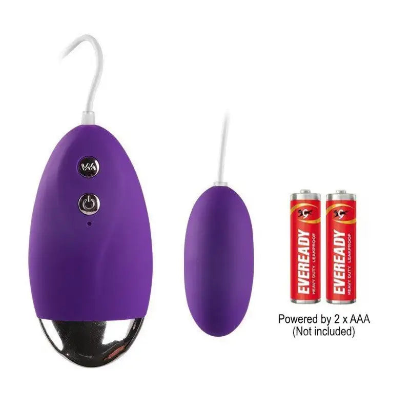 Fun - Wired Egg Vibrator - Frisky Business Adult Sex Toys Shop
