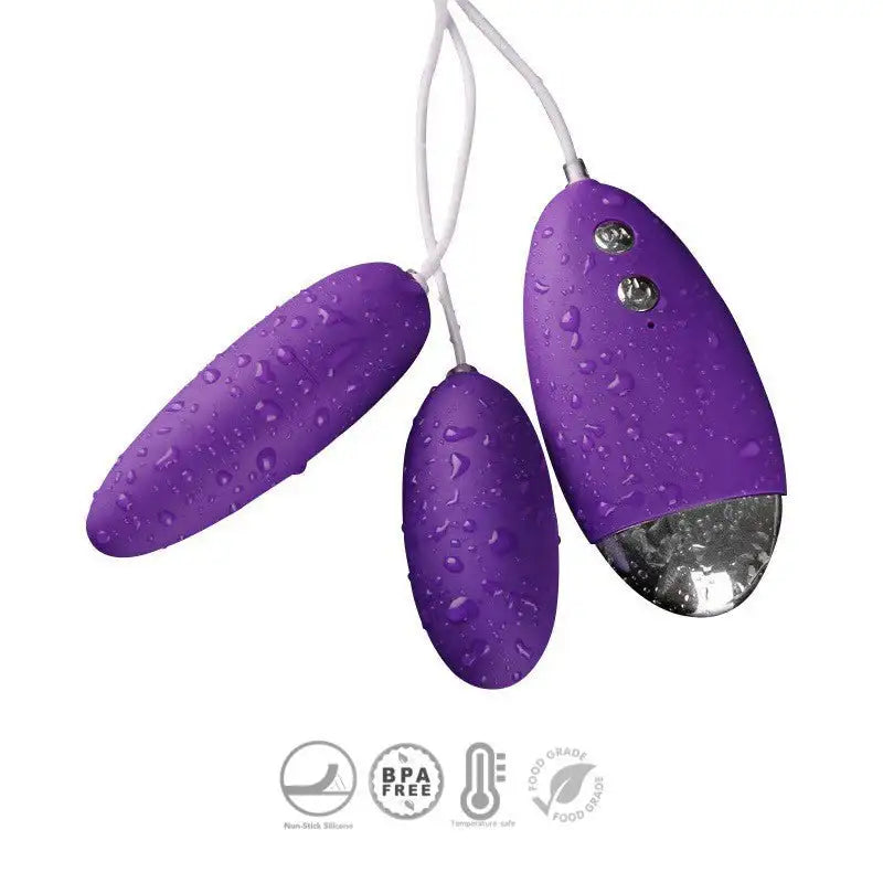 Fun - Wired Egg Vibrator - Frisky Business Adult Sex Toys Shop