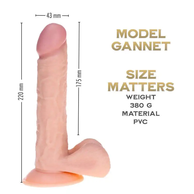 Gannel 22 cm - Prince Series Realistic Suction Cup dildo - Frisky Business Adult Sex Toys Shop