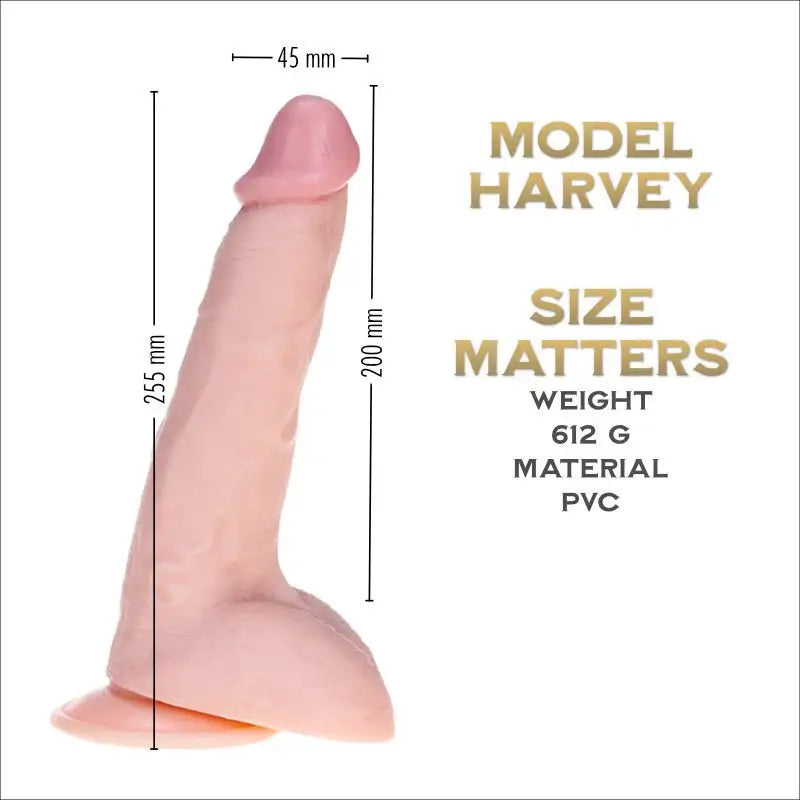 Harvey 22.5 cm - Prince Series Realistic Suction Cup dildo - Frisky Business Adult Sex Toys Shop