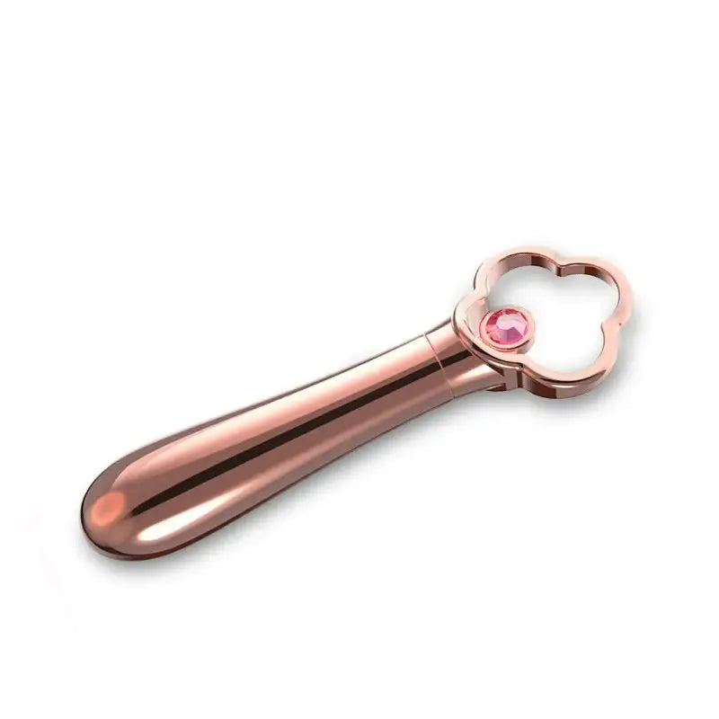 Powerful Mini Bullet Vibrator - Frisky Business Adult Sex Toys Shop