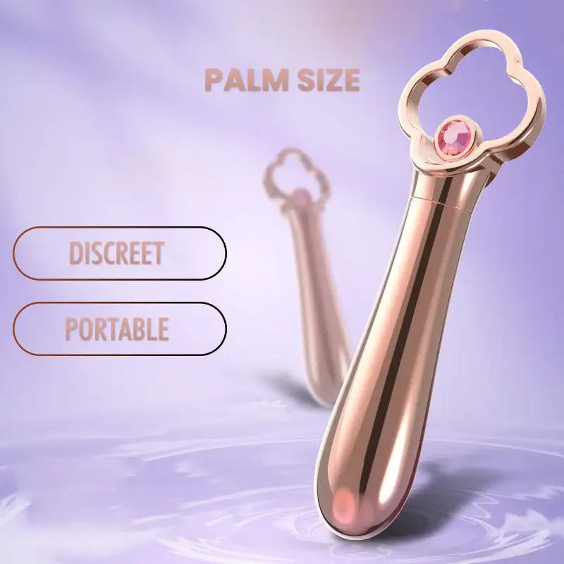 Powerful Mini Bullet Vibrator - Frisky Business Adult Sex Toys Shop
