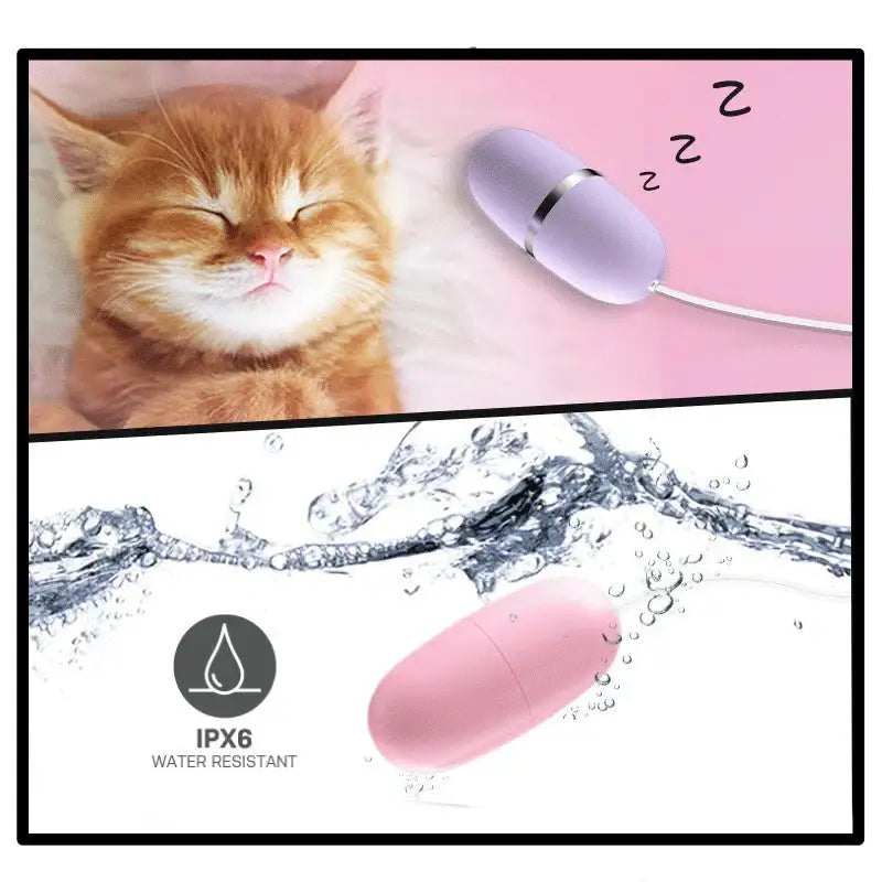 Sea Shell - Egg Vibrator - Frisky Business Adult Sex Toys Shop