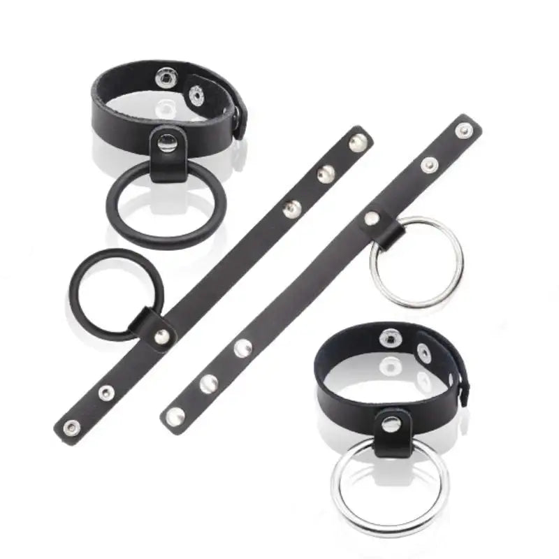 Steel and Seal Combo - Dual Cock Rings - Frisky Business Adult Sex Toys Shop