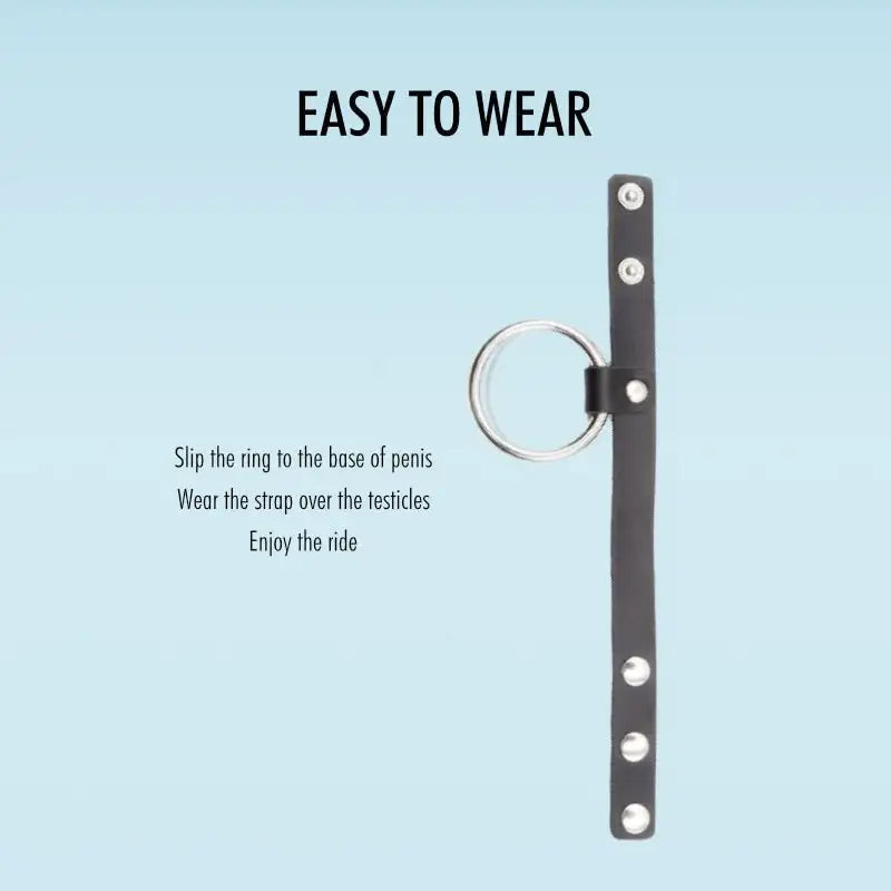 Steel and Seal Combo - Dual Cock Rings - Frisky Business Adult Sex Toys Shop