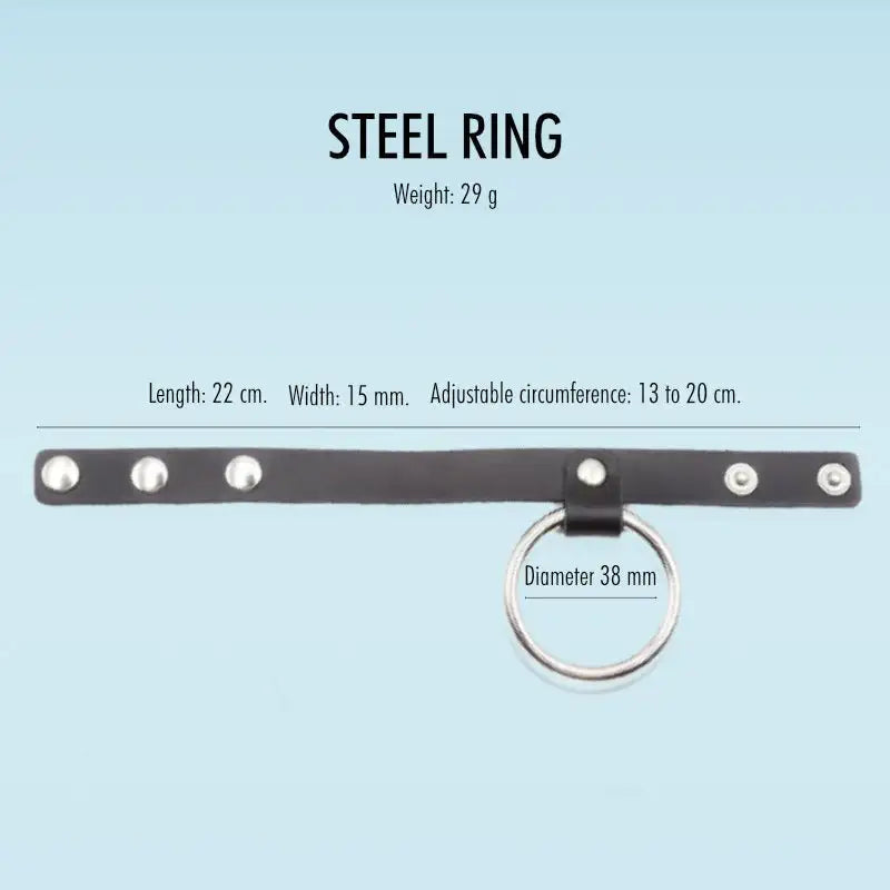 Steel and Seal Combo - Dual Cock Rings - Frisky Business Adult Sex Toys Shop